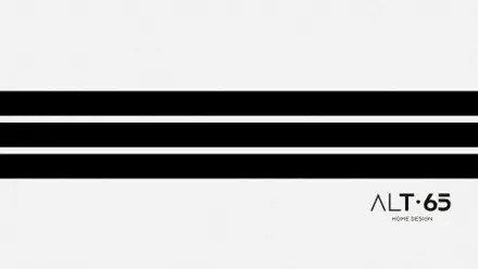Alt 65