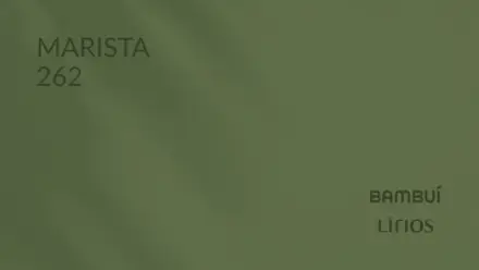 Marista 262