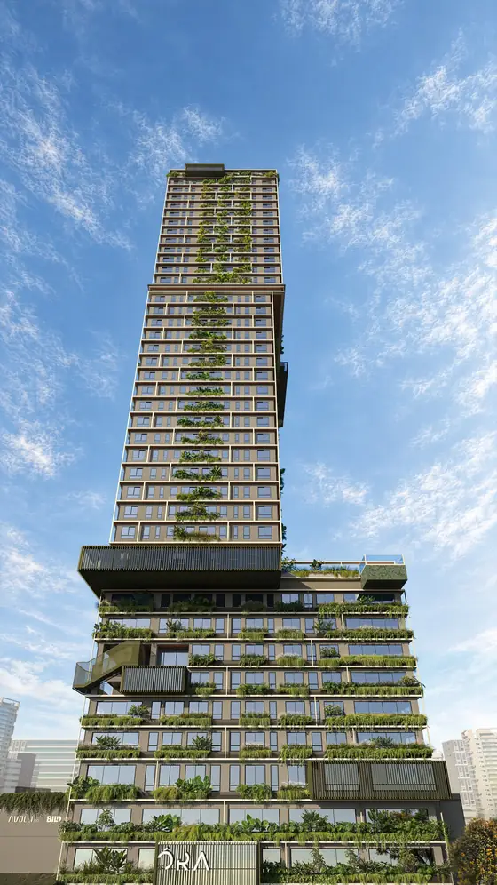 Vista aérea