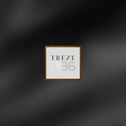 Treze36